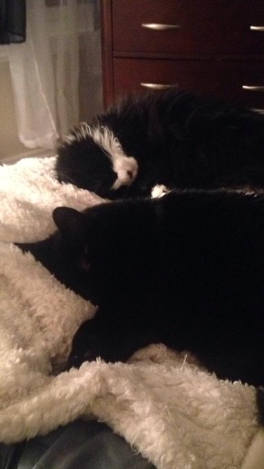 my everything http://t.co/OfBMaTZiDA<a href="/tag/wifeystatus"class="tags"><span>#wifeystatus</span></a>