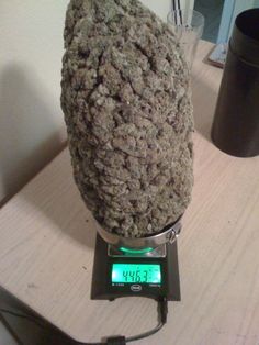 buy high quality seeds safely and securely at medicalmarijuana.ml/new/shop/