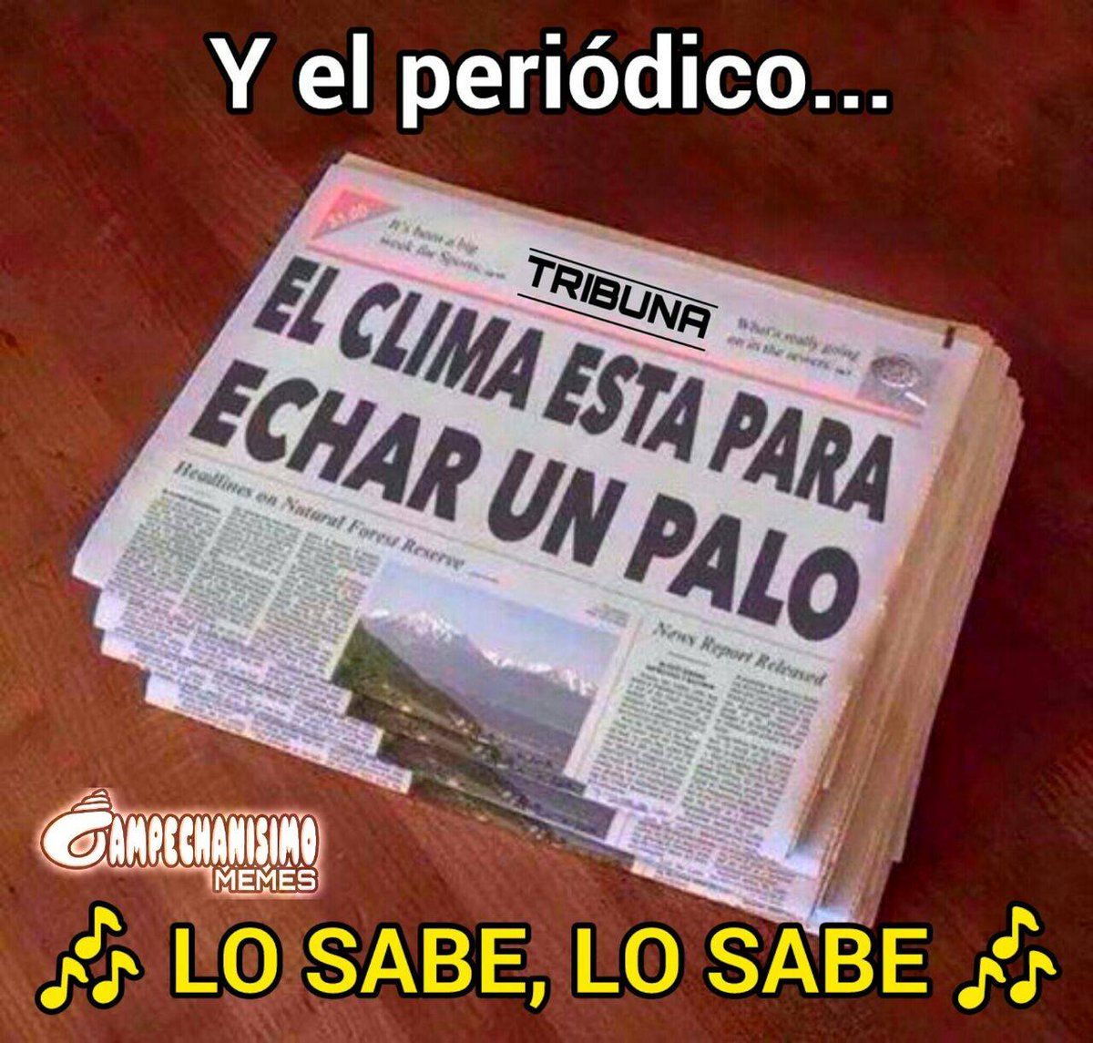 El clima en Campeche está para #Meme, image size:1200x1145