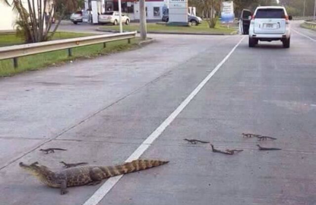diario_ecologia's tweet photo. Este es el resultado del hogar que le han robado. http://t.co/YTKfSlt107 http://t.co/RDVbDlhENd