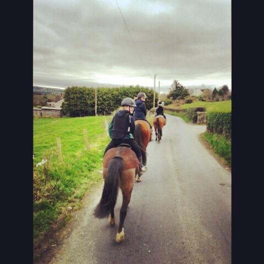 equestrian1993's tweet photo. Miss hacking out .. #equestrian #horse #hack #roads #love http://t.co/qFZ2FczvSb