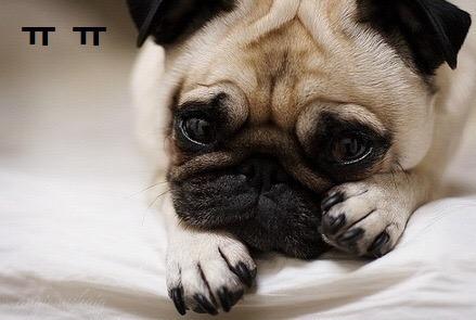 존귀ㅠㅠRT <a href="/gimseung/">짐승 태</a>: 왜 우울해?