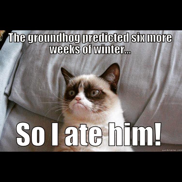 DanceFactoryMA's tweet image. #GroundhogDay