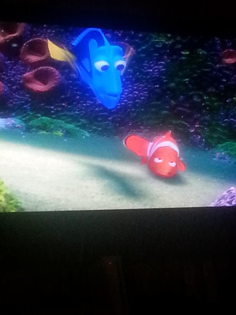 KSkopik's tweet photo. Finding Nemo before bed, don't mind if I do!! 🐡🐳🐠🌊 http://t.co/XHFl5dUApK