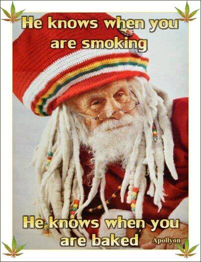 trapndank tweet picture