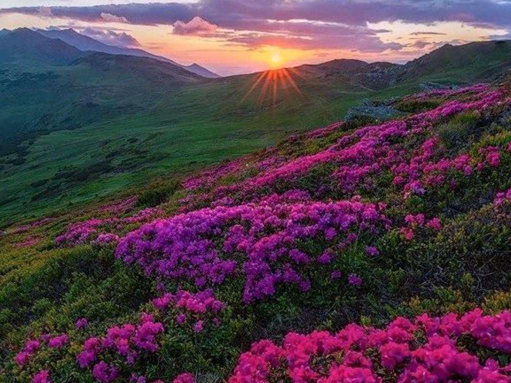 نحيف رجولي (@aaa6999) on Twitter photo 