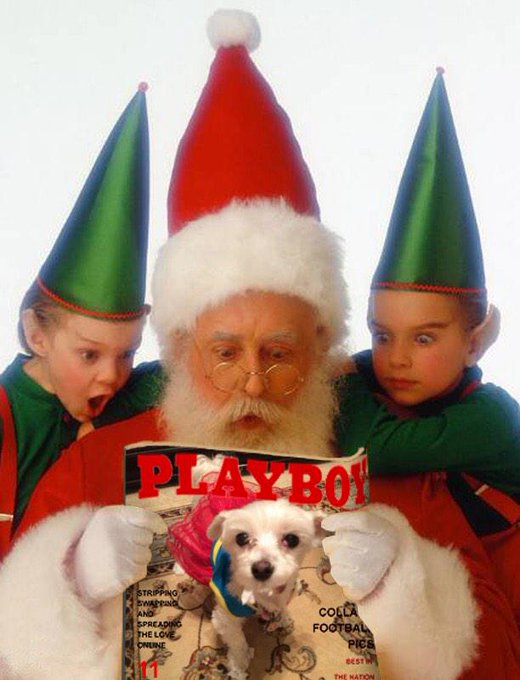 Pixie made the cover of @Playboy she became a cover girl like her parents @colbyjansenXXX and I http://t<a class="tags" href="/tag/playboy">@playboy</a>