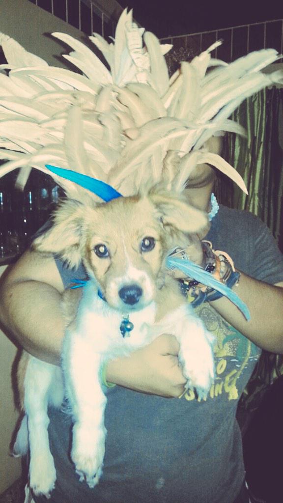 LuceDiorLeo's tweet photo. So he's ready for the Carnival vibes http://t.co/h109QYUJJh