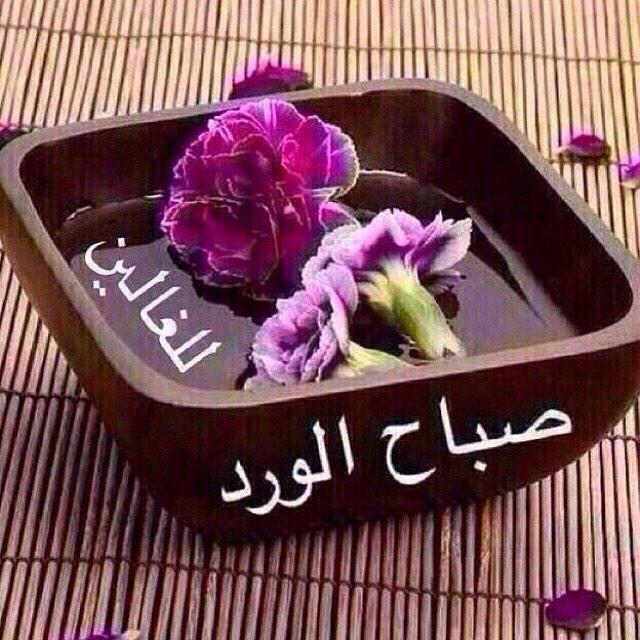 aannf2 tweet picture