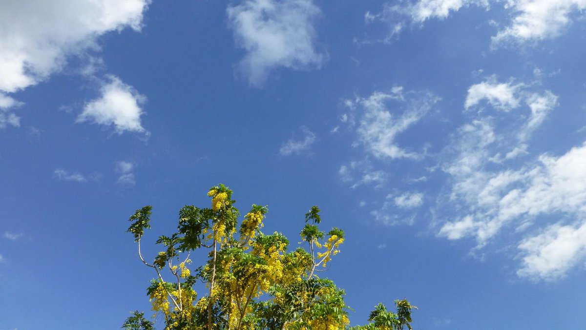 Osez_la_Reunion's tweet photo. Soley y tap zordi... #laRéunion et son ciel bleu... #tourisme #voyage #tropiques http://t.co/oEJ95UnwVG