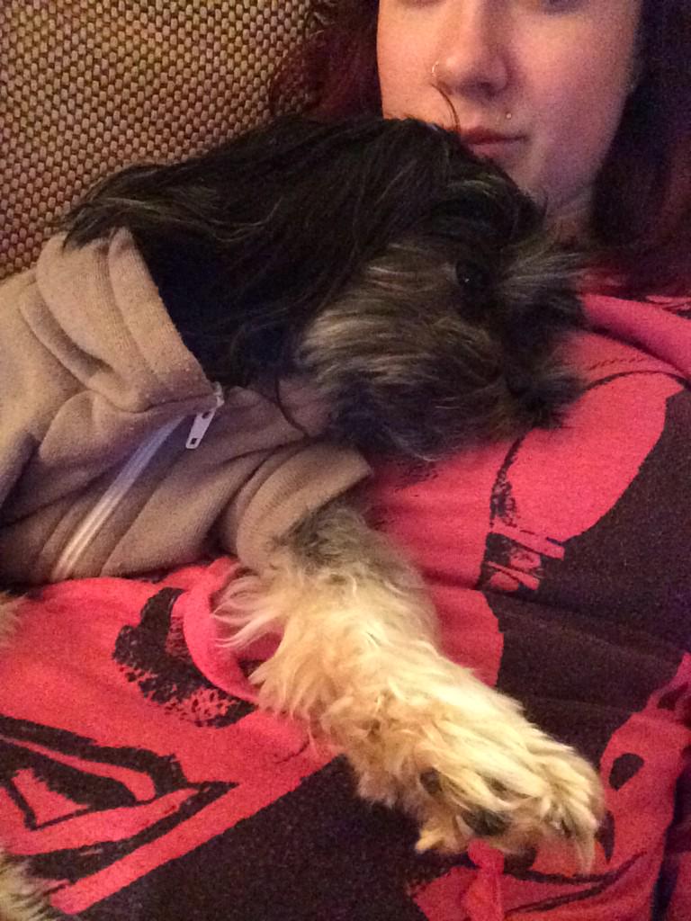 Katiemitchalias's tweet photo. Someone's tired http://t.co/q4vMv2DVEJ