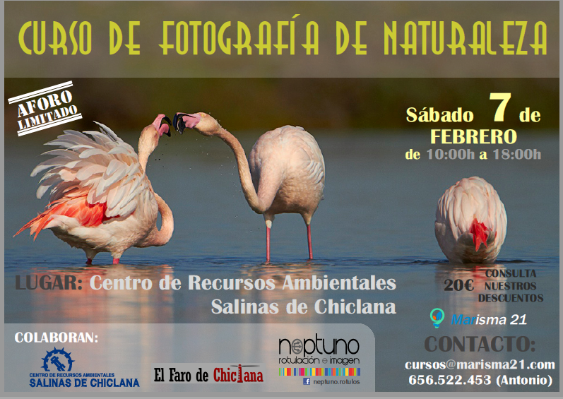 Marisma_21's tweet photo. ÚLTIMAS PLAZAS! Info y reserva en: cursos@marisma21.com
#fotos #Cádiz #Fotografía #Chiclana #Naturaleza http://t.co/qWFAc75nJN
