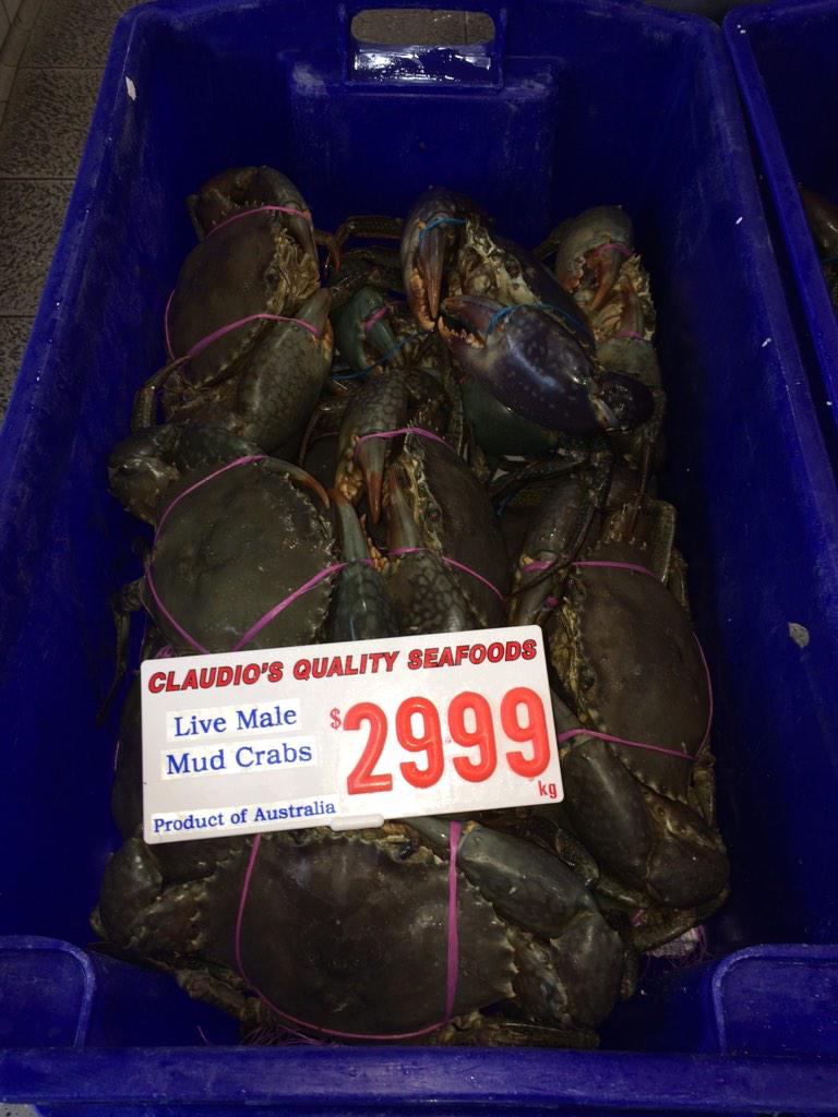 ClaudiosSeafood's tweet image. #mudcrabs #special #live #restaurantaustralia #sydneyrestaurant #local #claudiosseafood #Sydney #Sydneyfishmarket
