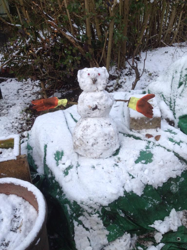 SamCumber's tweet image. I have had a productive day.