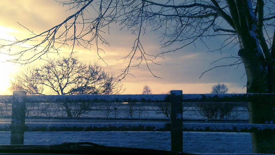 RealMattyboy's tweet image. Snowy in N.Yorks today