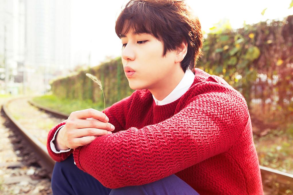 Happy Birthday Cho Kyuhyun   