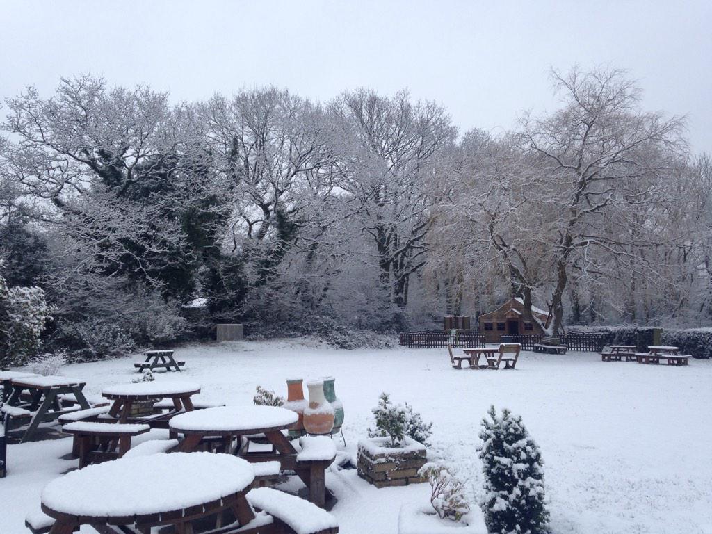 Beautiful view of our garden this morning here in surrey... Log fire will be burning all day to keep us warm!