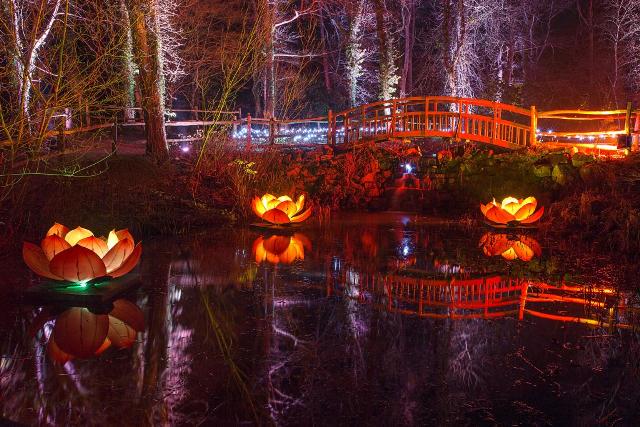 The Electric Woods are coming to the Isle of Wight. Book our exclusive offer at redfunnel.co.uk/halfterm