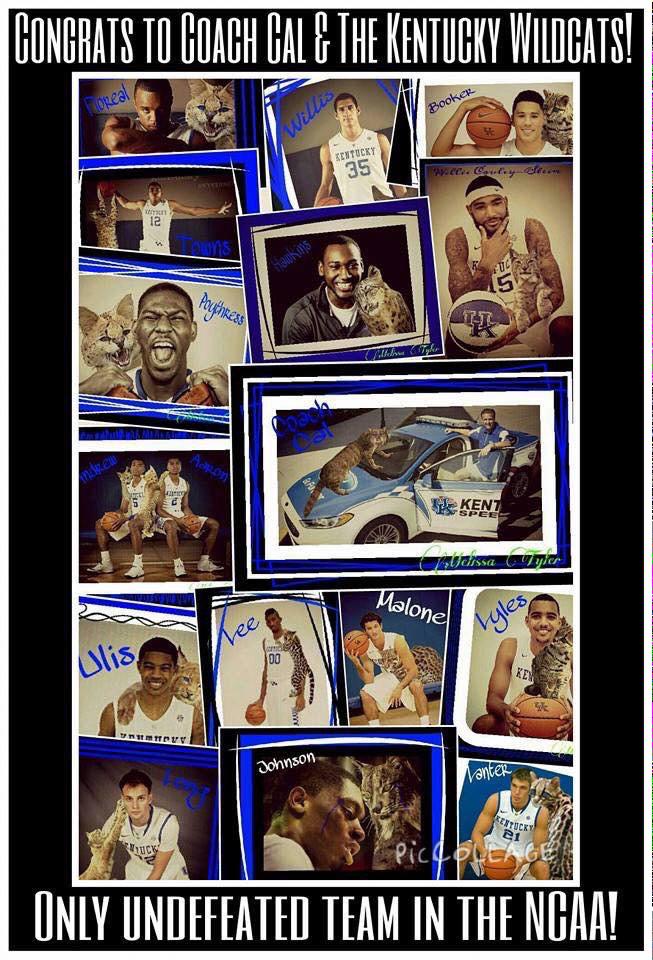 Gobigbluecats41 tweet picture