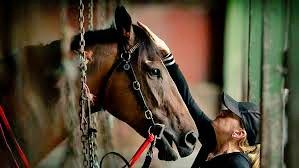 Inseperable. Sue and Hay List