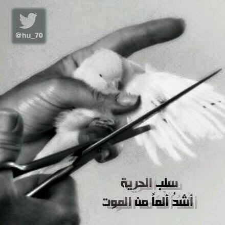 abushames1011's tweet photo. http://t.co/26ZvhEOfWM