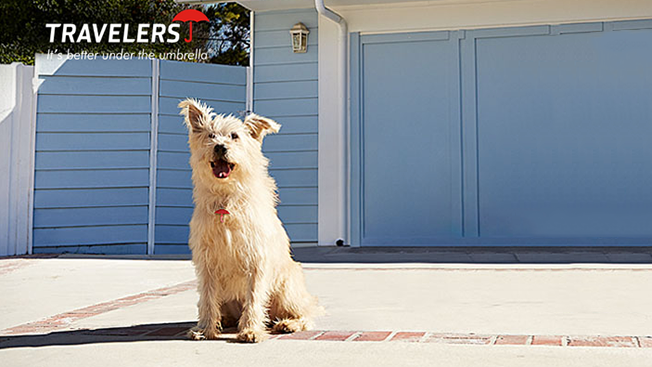 Travelers hires <a href="/TBWAChiatNY/">TBWA\Chiat\Day NY</a> as new lead creative agency: adweek.it/1zydlkw