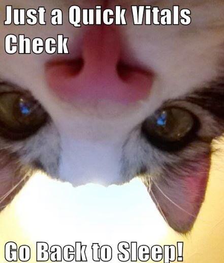 nursingprobs101's tweet photo. http://t.co/onlFpAzqNV