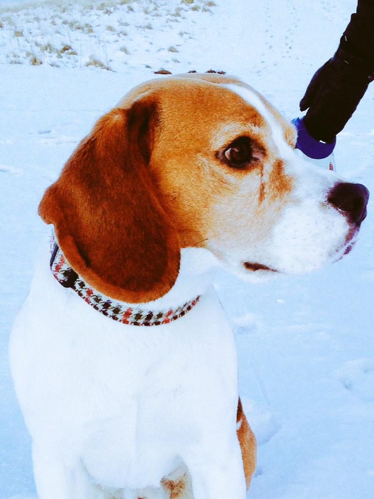 Had a few months off Twitter.... But I'm back! Arroooo to all my pals and followers!