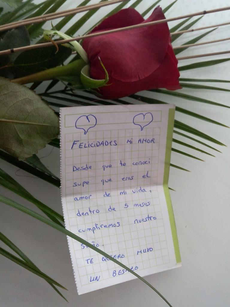 yolandamdb's tweet photo. levantarte y encontrarte esto,no tiene precio http://t.co/IsUo81NlMM