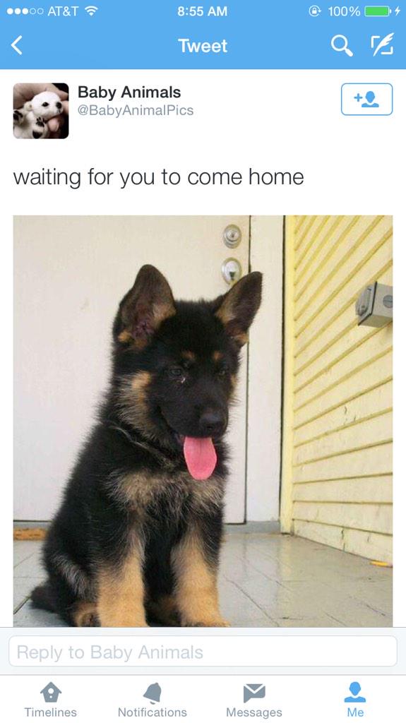 Rdrzik's tweet image. #sensitivematerial