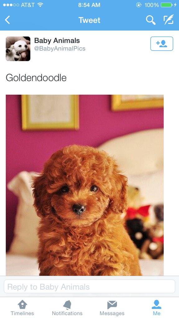 Rdrzik's tweet image. #sensitivematerial