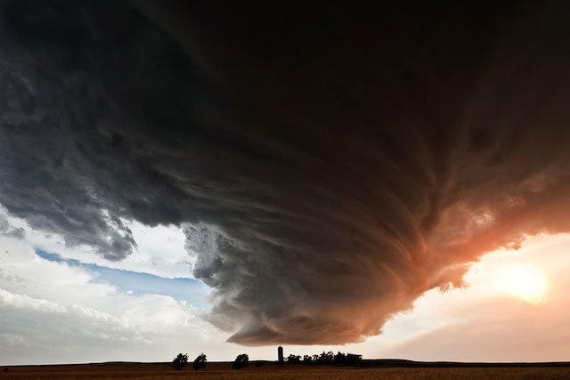 fubiz tweet picture