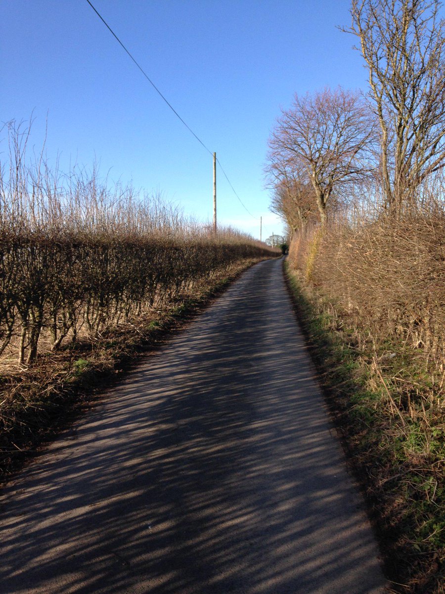 ScamperingPaws's tweet photo. Yet another gorgeous winter's day, perfect for dog walking. #lovemyjob #bringonthesnow http://t.co/HCPch71uc3