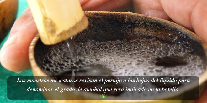 Cemmez_'s tweet photo. Los maestros mezcaleros revisan el perlaje para denominar el grado de alcohol que será indicado en la botella #mezcal http://t.co/xI1uhQWZQ7
