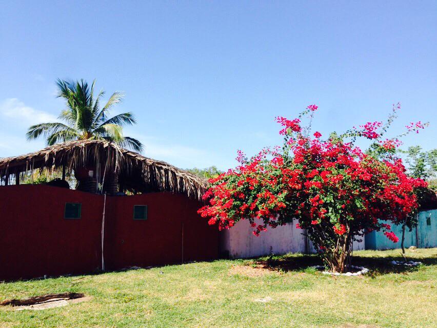 ElAlfaqueAca's tweet photo. #Cabañas #Guerrero 
#Acapulco #Mexico http://t.co/IOIx0kh9N0