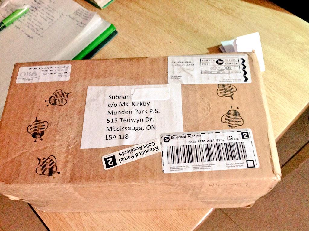 KirkbyClass's tweet image. Very excited student received package from @OntarioBee today! #isupportbeecause #pollinatorhealth #alwaysbeelearning
