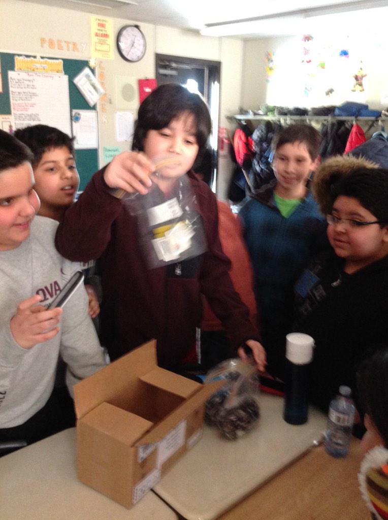 KirkbyClass's tweet image. Very excited student received package from @OntarioBee today! #isupportbeecause #pollinatorhealth #alwaysbeelearning