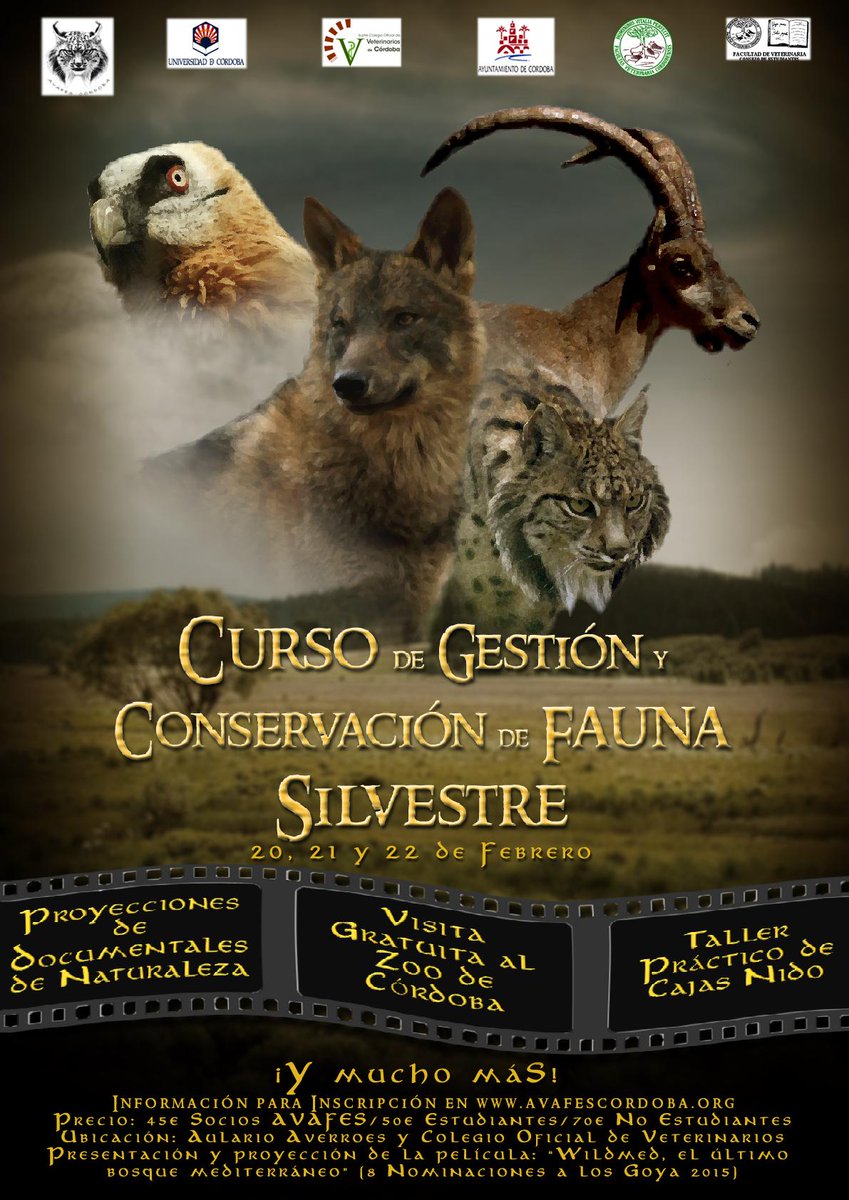 VeterinariaUCO's tweet photo. #CURSO de Gestión y Conservación de Fauna Silvestre #AVAFES   20, 21 y 22 de febrero http://t.co/ysrUr9gGlt