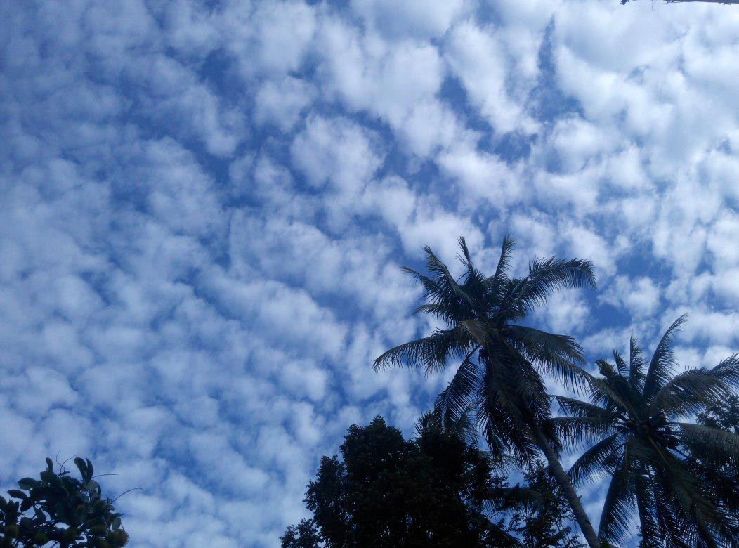 usmanashari13's tweet photo. @MiOfficial_ID bening bnget min #redmi note http://t.co/Sx3iKq2ZkO