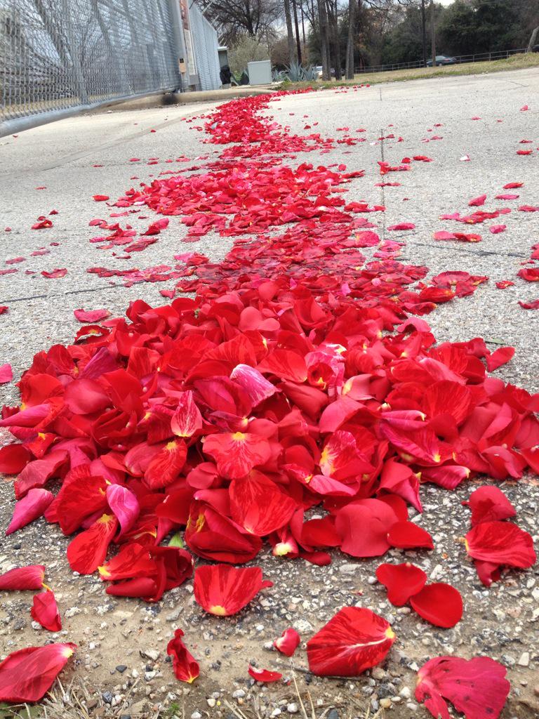 RoosterTeeth's tweet image. Thank you to whoever did this in front of our offices overnight. &amp;lt;3 Monty.