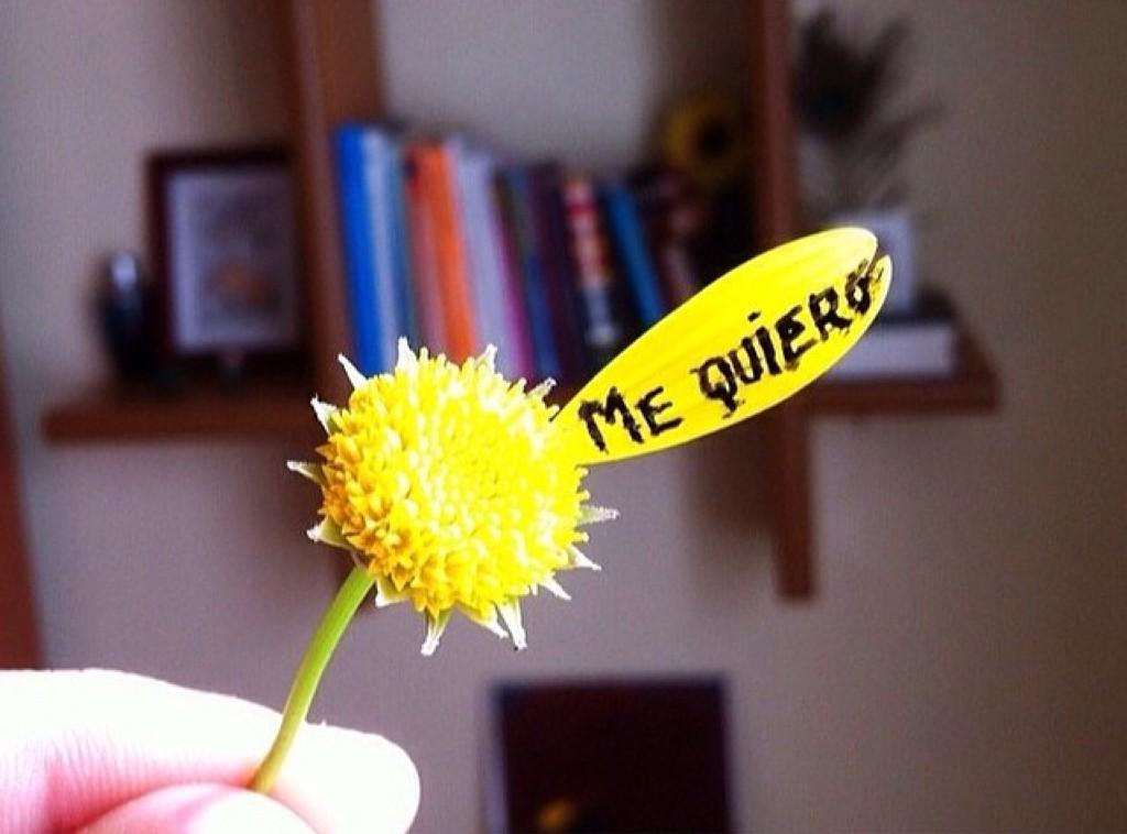 iresantana's tweet photo. Que sea siempre lo primero! http://t.co/PospYYA2We
