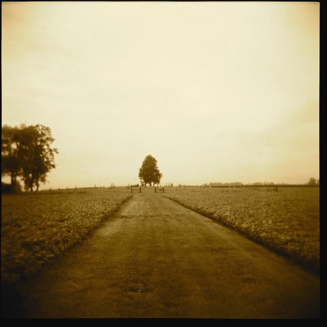 k8bland's tweet image. Deep roots, rich dirt, read on... tinyurl.com/oadfnkd @LairdHunt @bookanista @ChattoBooks