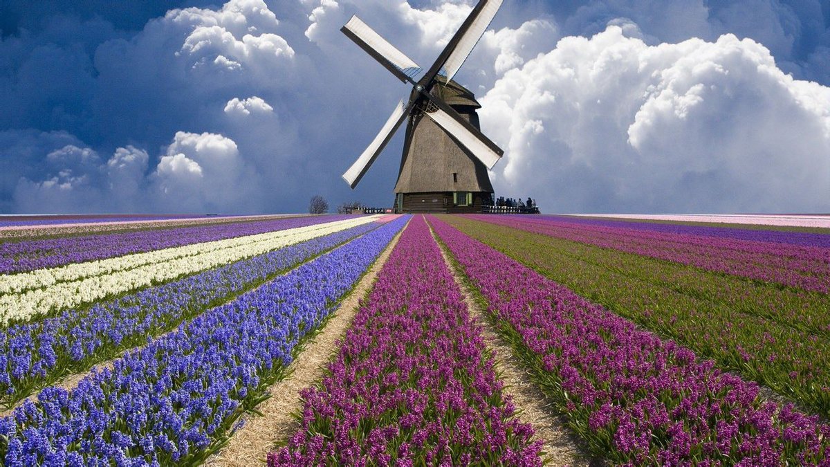 hieuropenet tweet picture
