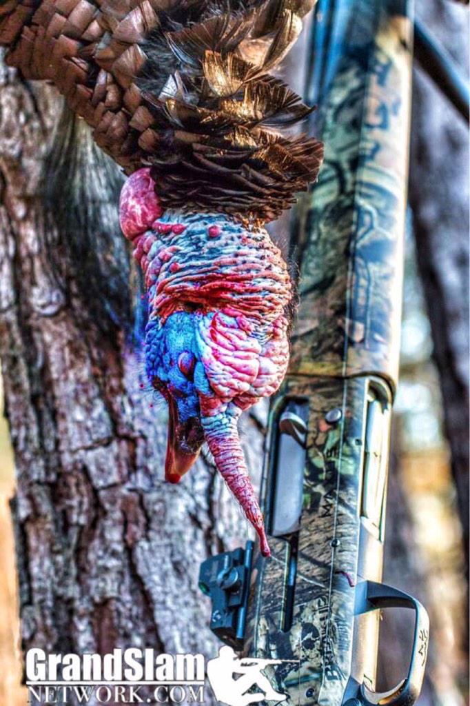 TeamThwacker's tweet photo. “@MossyOakPro: Who is ready to hang one up? http://t.co/ecOd2v7mbp”