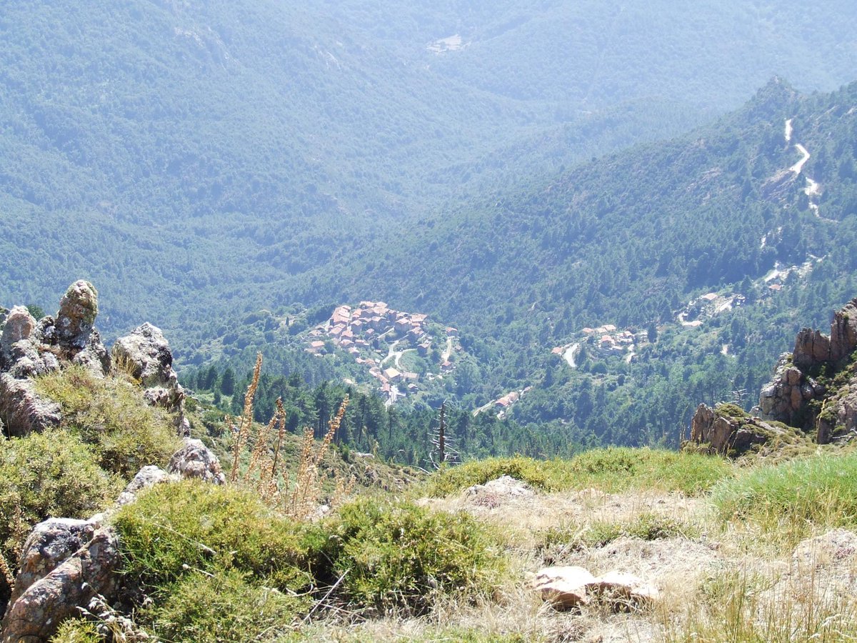 puntaminuta's tweet photo. BEAUTE SAUVAGE......   #CRUZZINI   #CINARCA  #INDENOI http://t.co/eHf6X6qsnt