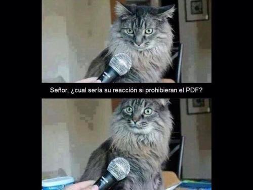 MagiadeLectores's tweet photo. TODO MENOS ESO http://t.co/z3ShjmHHmg