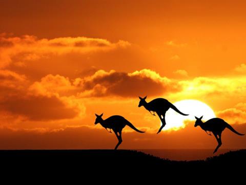 David Pittman tweet media