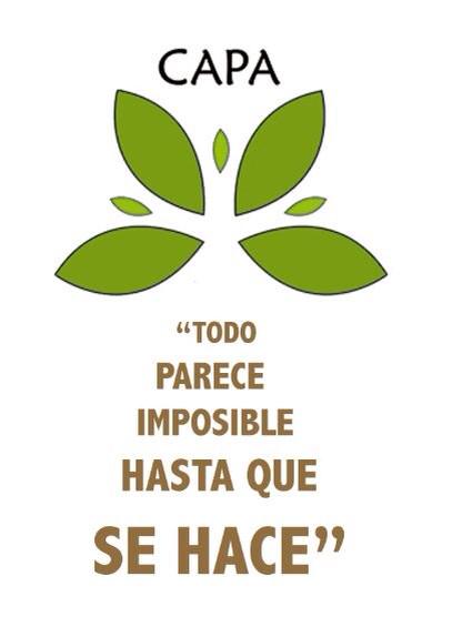 CAPA_Peru's tweet photo. In @CAPA_Peru we believe we can, so we will make a change. Join us in helping our #PeruvianRainforest! 😊 http://t.co/zxBlpSgOMG