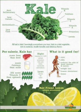juliasalinas's tweet photo. El kale o berza tiene enormes beneficios para tu salud! http://t.co/VAFwlpFbrf