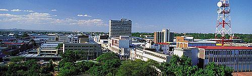 Polokwane Municipal tweet media